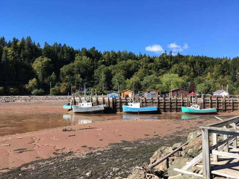 From Saint John: Bay of Fundy Bus Trip for Cruise Passengers - Bus comfort, group size, and weather