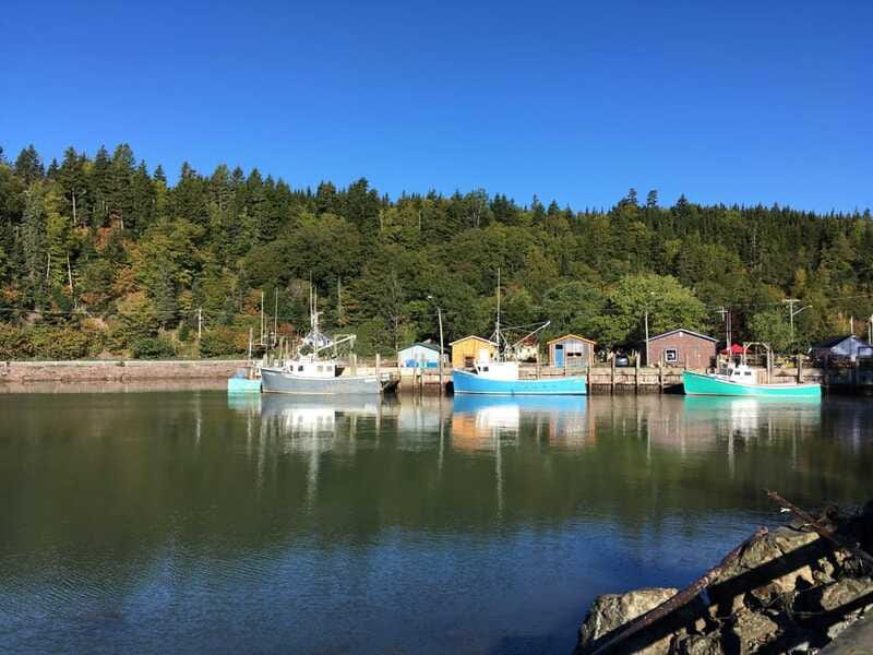 From Saint John: Bay of Fundy Bus Trip for Cruise Passengers - Is the 87 dollar price good value?
