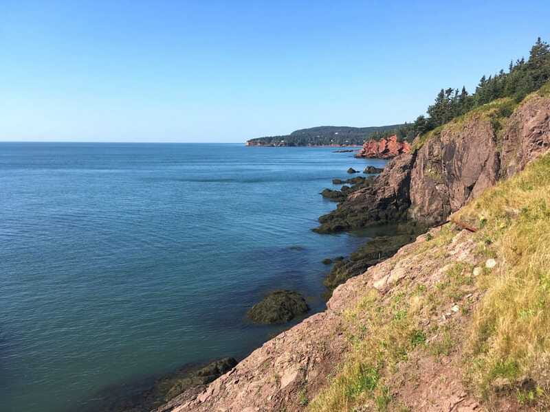 From Saint John: Bay of Fundy Bus Trip for Cruise Passengers - Who should book this Saint John excursion?