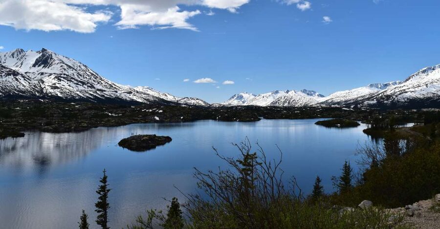 From Skagway: White Pass Summit Guided Bus Tour - Starting at Gold Rush Cemetery and Reid Falls