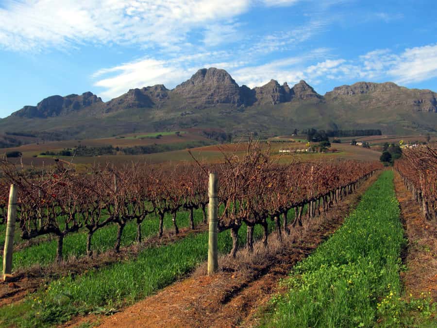 From Stellenbosch: Hop-On Hop-Off Wine Tour Southern Route - How the Southern Route works