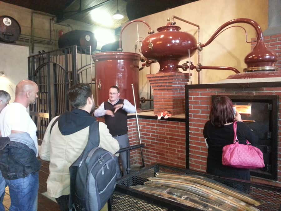 From Stellenbosch: Hop-On Hop-Off Wine Tour Southern Route - Start with a plan, then leave room to linger