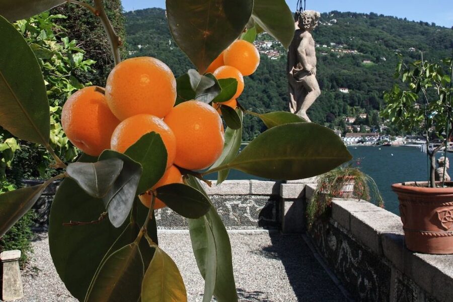 From Stresa: 2 Borromean Islands Hop-on Hop-off Boat Tour - How the Hop-On, Hop-Off System Works