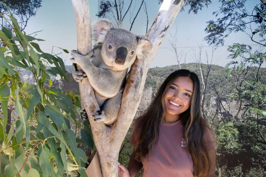 From Sydney: Blue Mountains Day Tour & Hop-on, Hop-off Tour - Why this Blue Mountains combination works