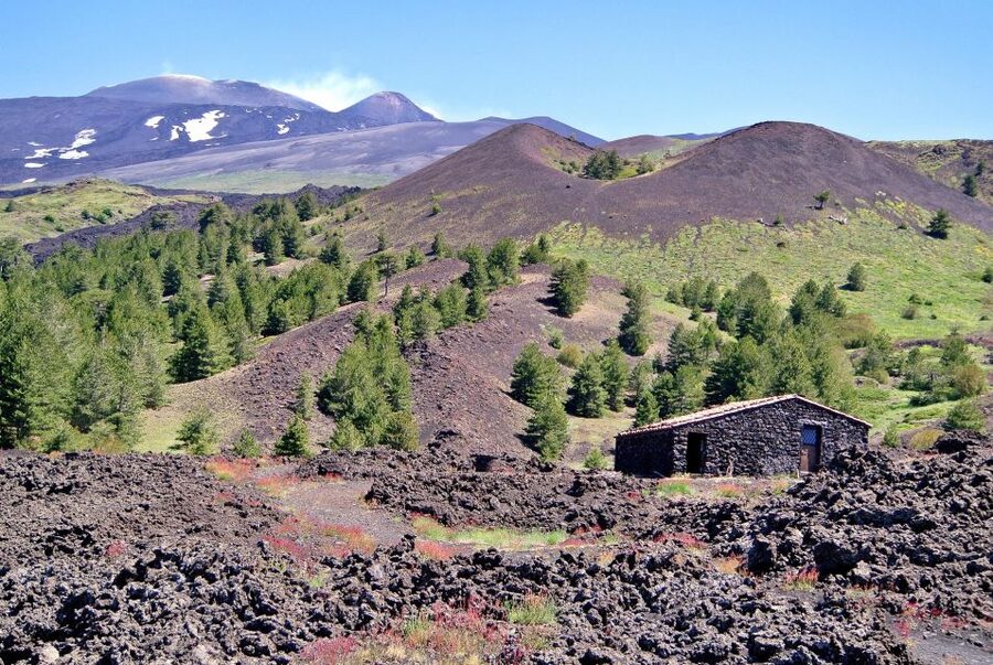 From Taormina: Mount Etna Guided Bus Tour - Key points to know before booking