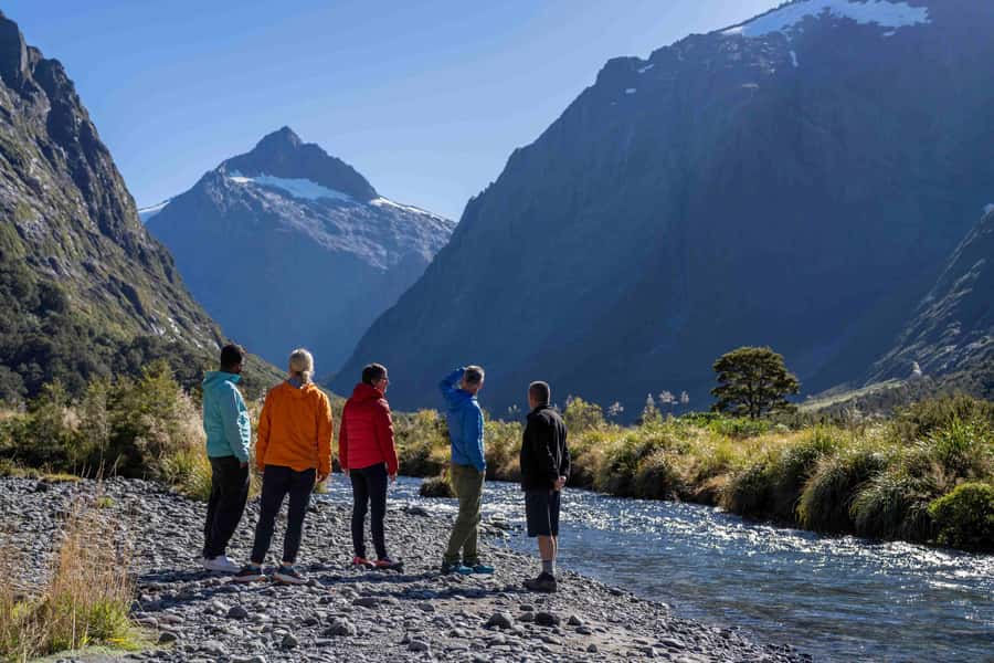 From Te Anau: Milford Sound Coach, Cruise, and Walks - Key points at a glance
