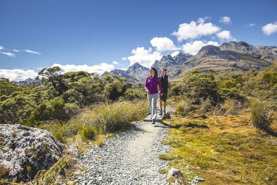 From Te Anau: Milford Sound Coach, Cruise, and Walks - Booking details and practical value