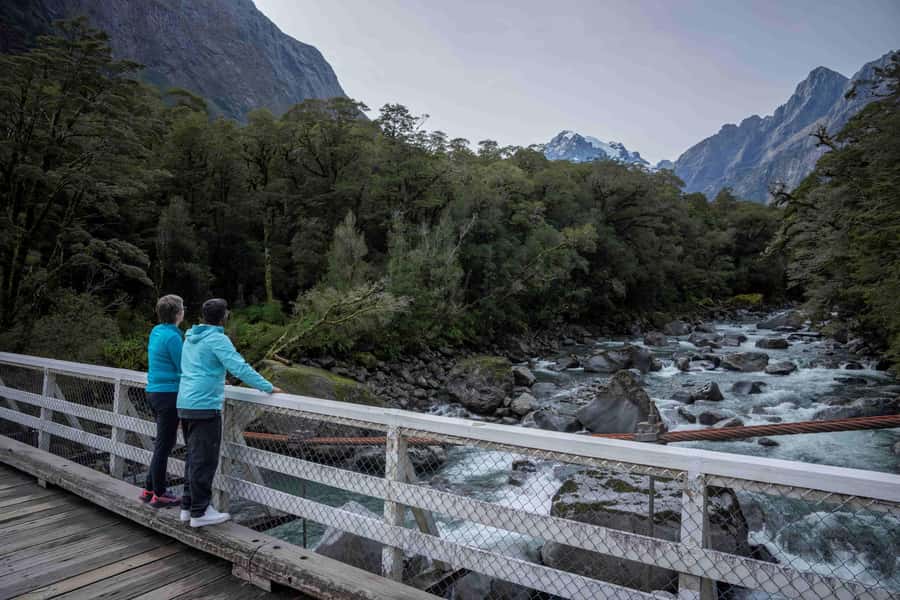 From Te Anau: Milford Sound Coach, Cruise, and Walks - Short stops that make the road worthwhile
