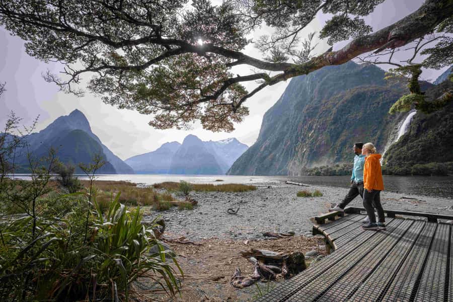 From Te Anau: Milford Sound Coach, Cruise, and Walks - A simple picnic that fits the schedule