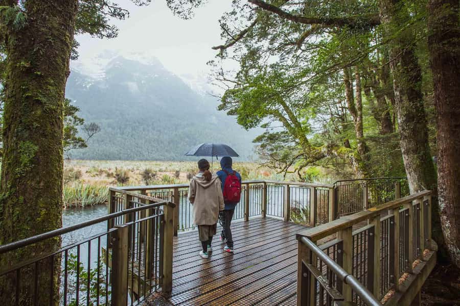 From Te Anau: Milford Sound Coach Tour and Cruise - Why the Te Anau departure makes sense