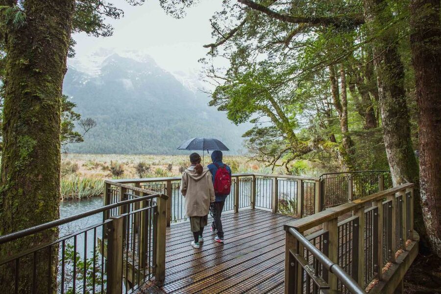 From Te Anau: Milford Sound Coach Tour and Cruise - Waterfalls, seals, and changing weather