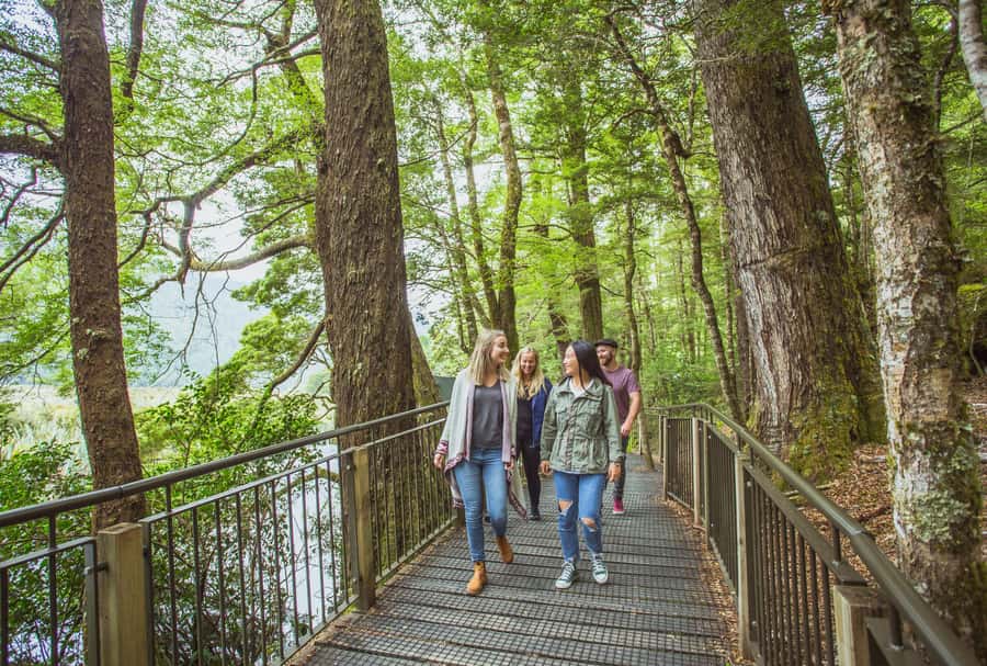 From Te Anau: Milford Sound Coach Tour and Cruise - Lunch and the small comforts onboard