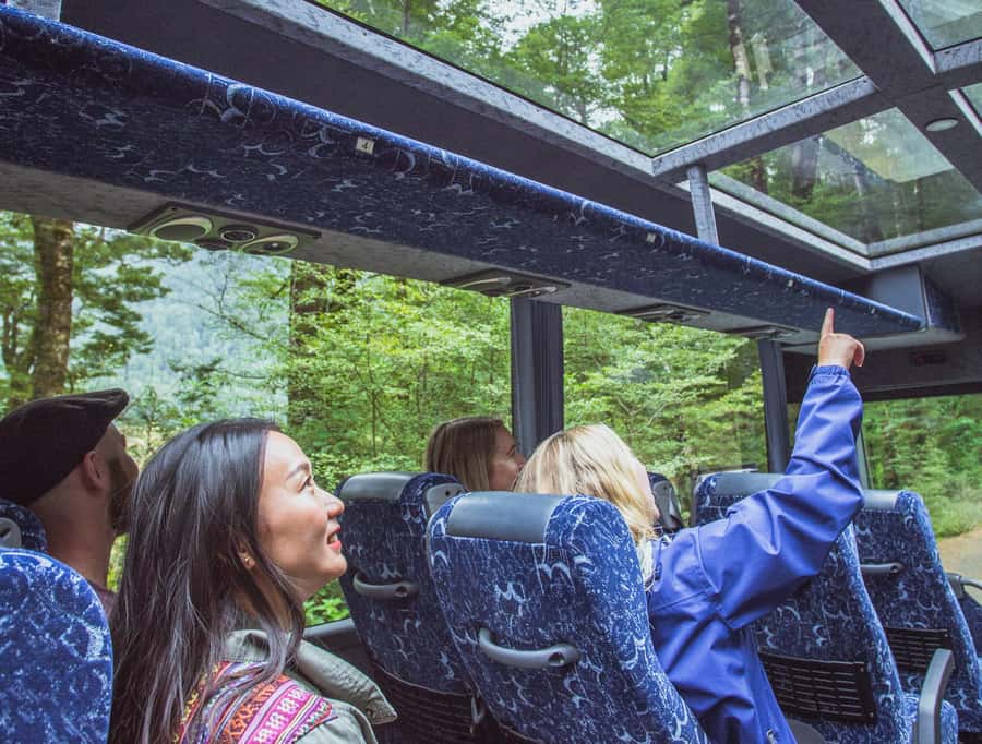 From Te Anau: Milford Sound Coach Tour and Cruise - The road into Fiordland National Park