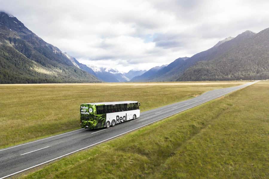 From Te Anau: Milford Sound Cruise and Coach Day Trip - Key points at a glance