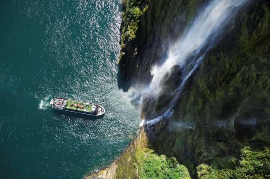 From Te Anau: Milford Sound Cruise and Coach Day Trip - Monkey Creek brings you close to the mountain country