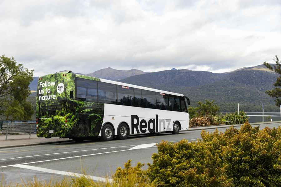 From Te Anau: Milford Sound Cruise and Coach Day Trip - Food, seating, and the long return to Te Anau