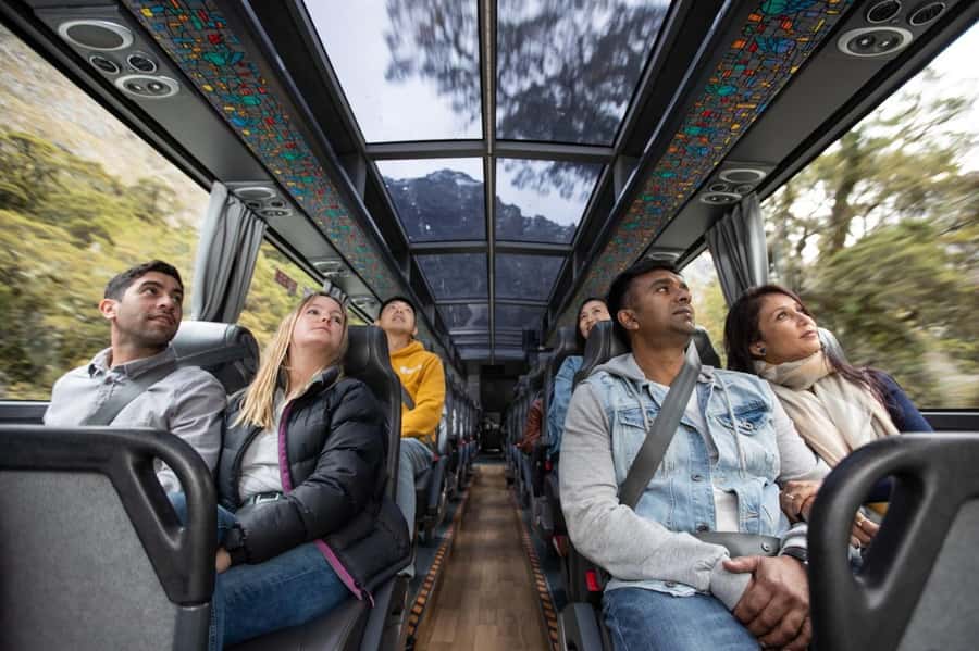 From Te Anau: Milford Sound Cruise & Glass-Roof Coach Tour - Who will enjoy this Milford Sound tour?