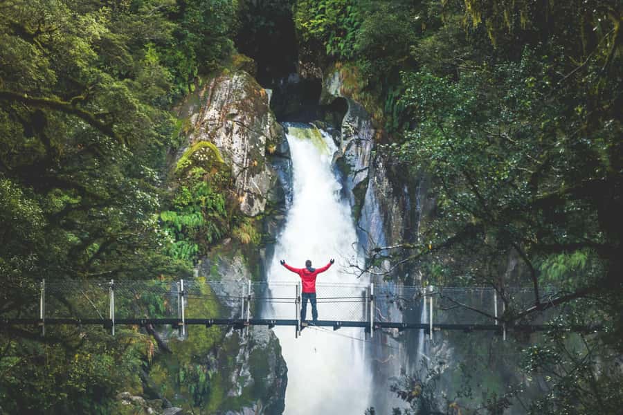 From Te Anau: Milford Sound Cruise & Track Walk by Coach - Key points to know before you book
