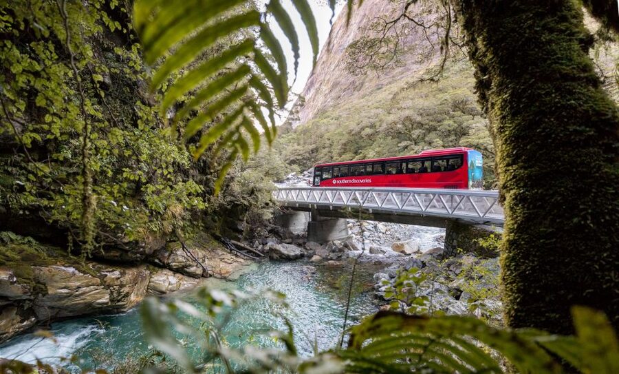 From Te Anau: Milford Sound Premium Bus Tour and Cruise - The two-hour cruise is the main event