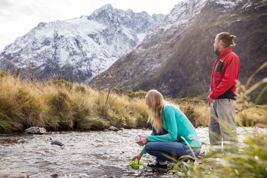 From Te Anau: Milford Sound Premium Bus Tour and Cruise - Watch for seals, dolphins, and penguins