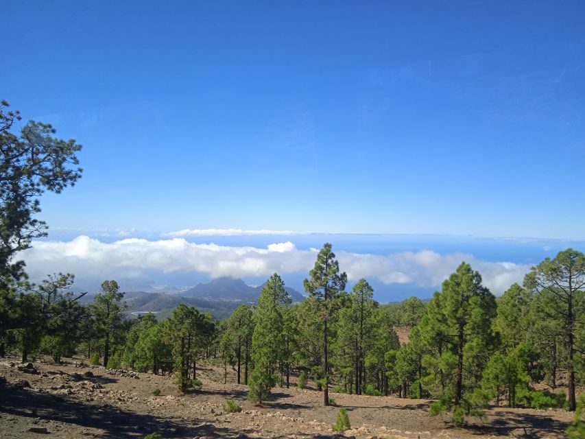 From Tenerife: Teide National Park Guided Day Trip by Bus - A 5.5-hour route from south Tenerife