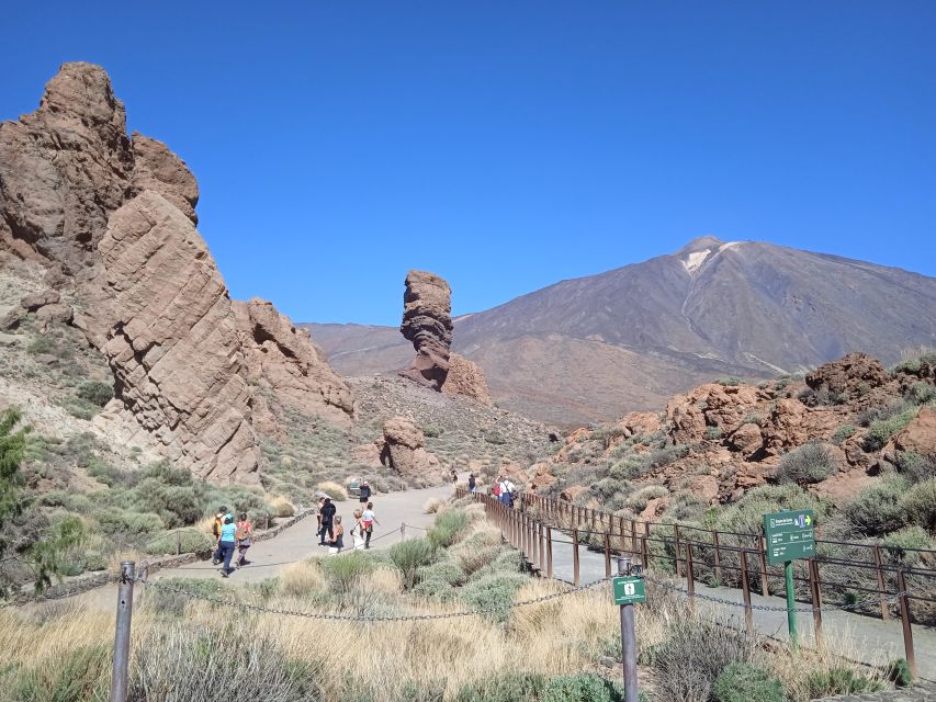 From Tenerife: Teide National Park Guided Day Trip by Bus - Pine forests and Tenerife’s native plant life
