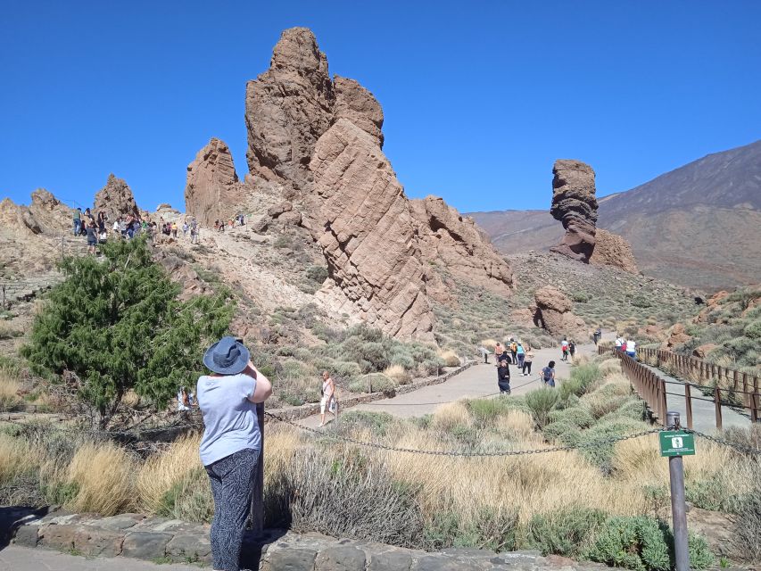 From Tenerife: Teide National Park Guided Day Trip by Bus - Pico Viejo adds a second volcanic story