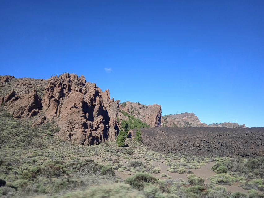 From Tenerife: Teide National Park Guided Day Trip by Bus - Who will get the most from this outing