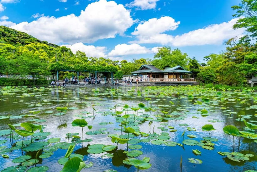 From Tokyo: Kamakura, Great Buddha, and Enoshima Bus Tour - Who should book this day trip?