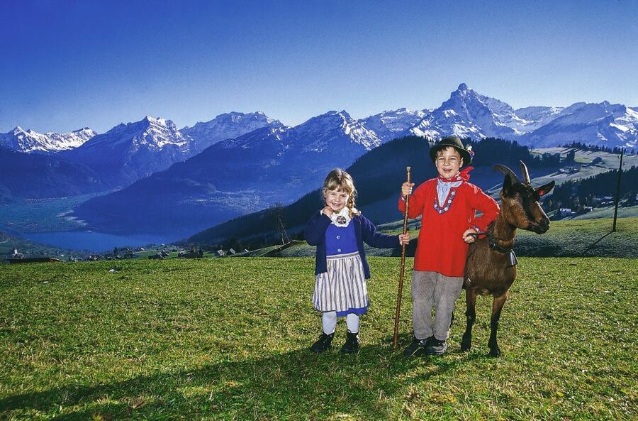 From Zurich: Bus Day Trip to Heidiland and Liechtenstein - What this Zurich day trip actually gives you