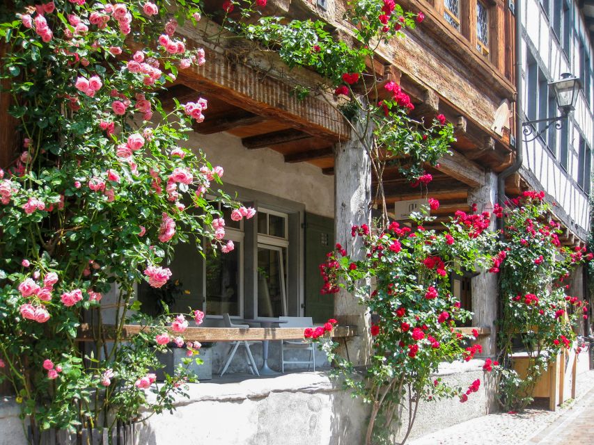 From Zurich: Bus Day Trip to Heidiland and Liechtenstein - Who will enjoy this most?