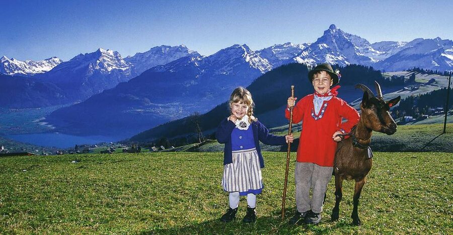 From Zurich: Bus Day Trip to Heidiland and Liechtenstein - Rapperswil and its castle by Lake Zurich