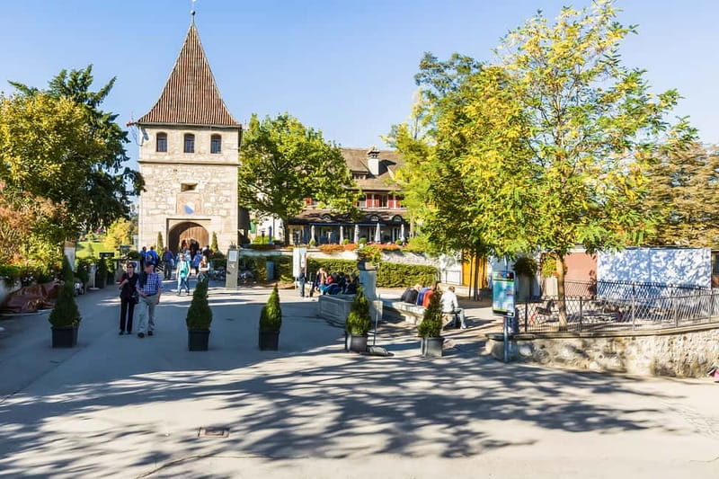 From Zurich: Rhine Falls Coach Tour with Entry Tickets - Comfort on the coach and the value of $63