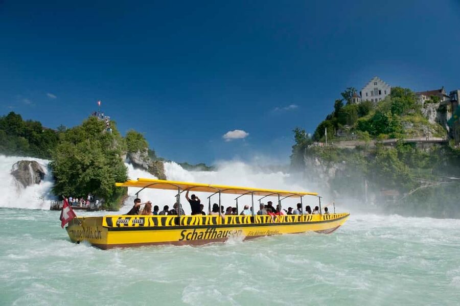 From Zurich: Rhine Falls Coach Tour with Entry Tickets - Who will enjoy this tour most?