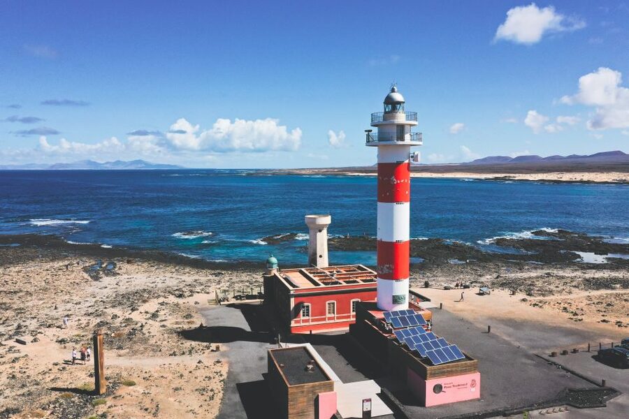 Fuerteventura: Island Tour by Minibus - Aloe vera and the working side of the island