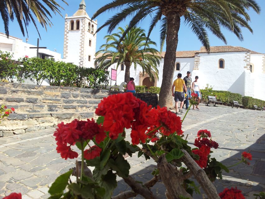 Fuerteventura: Island Tour by Minibus - Timing, comfort, and the tradeoff of distance