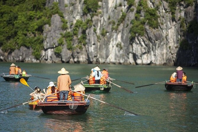 Full Day Halong Bay Luxury Limousine Bus & Buffet Lunch - Titop Island for swimming and a bay panorama