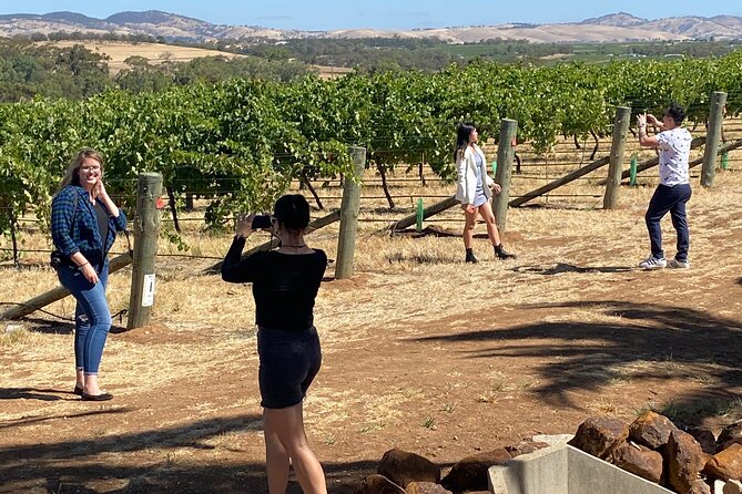 Full-Day Private Barossa Valley Wine Bus Tour - Lunch at Kies Family Winery, with room to choose