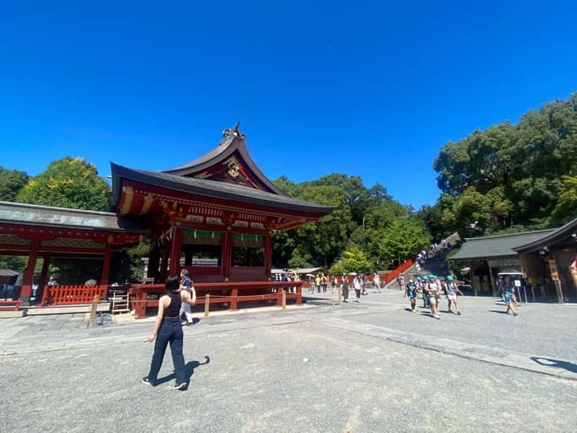 Full Tokyo: Meiji Shrine, Imperial Palace, Asakusa & Skytree - Tokyo Skytree and the city from above