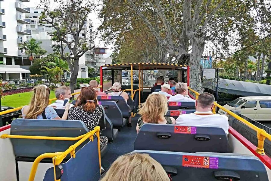 Funchal: City Sightseeing Hop-On Hop-Off Bus Tour - Wine tasting, discounts, and the real ticket value