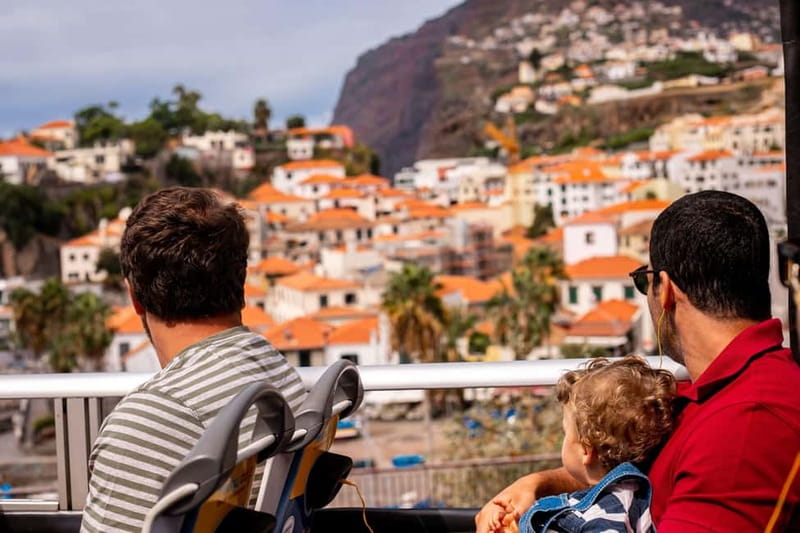 Funchal:Hop-on Hop-off Bus & Whale & Dolphin boat Excursion - Key points to know before you go