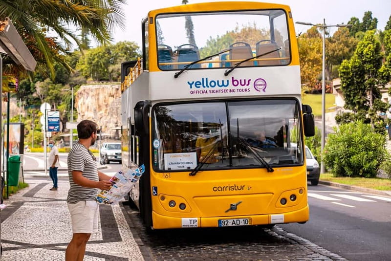 Funchal:Hop-on Hop-off Bus & Whale & Dolphin boat Excursion - Why this combination works in Funchal