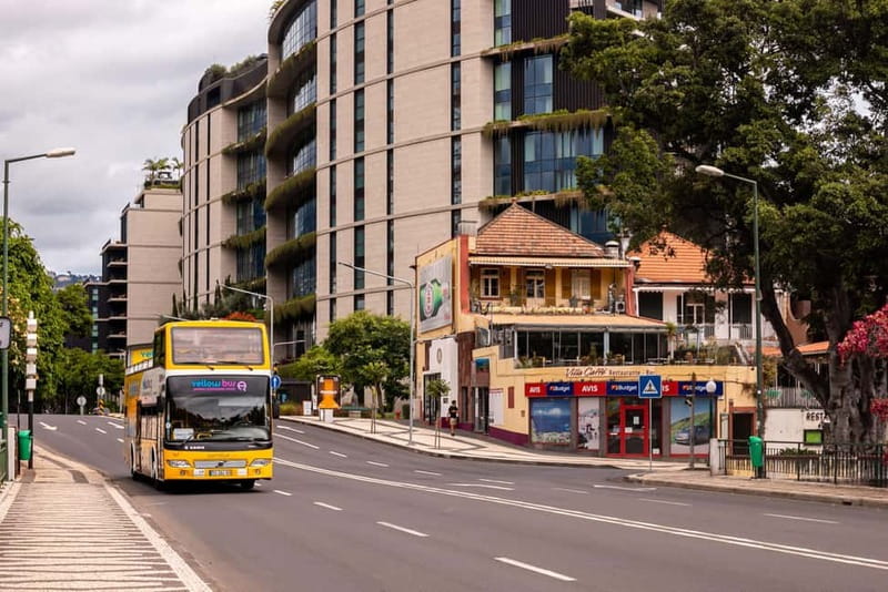 Funchal:Hop-on Hop-off Bus & Whale & Dolphin boat Excursion - Lido, hotels, and the final loop