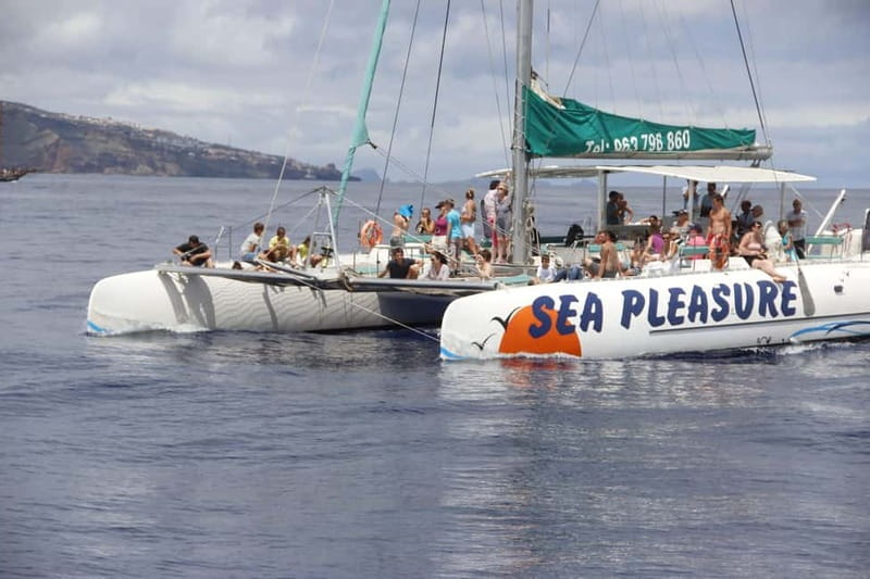 Funchal:Hop-on Hop-off Bus & Whale & Dolphin boat Excursion - Starting at Avenida do Mar