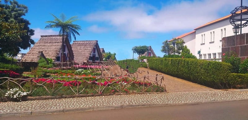 Funchal Private 4-Seater VIP Mercedes / 8-Seater Minibus - Key points to know before you book