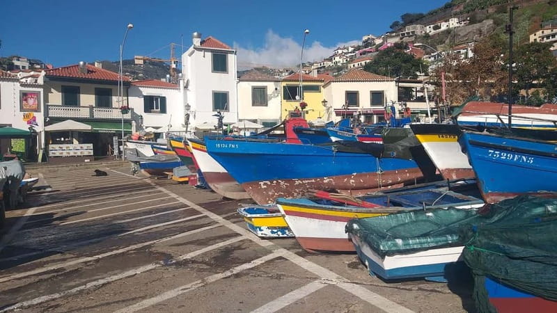 Funchal Private 4-Seater VIP Mercedes / 8-Seater Minibus - West and north: a slower road day