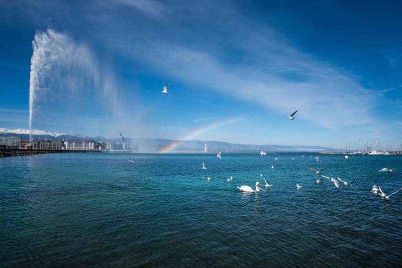 Geneva: Open-Top Sightseeing Bus Tour - Who should book this tour?