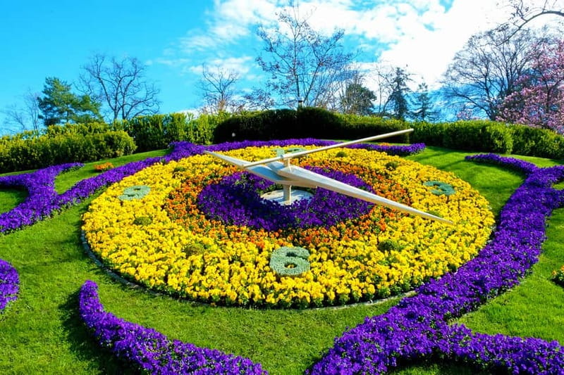 Geneva: Open-Top Sightseeing Bus Tour - The Flower Clock and central Geneva
