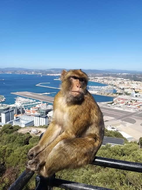 Gibraltar: Guided Tour by Bus Including Tickets - St Michael’s Cave, the tour’s most unusual interior