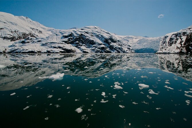 Glacier Quest Cruise and Coach Package - Price and overall value at $295.07